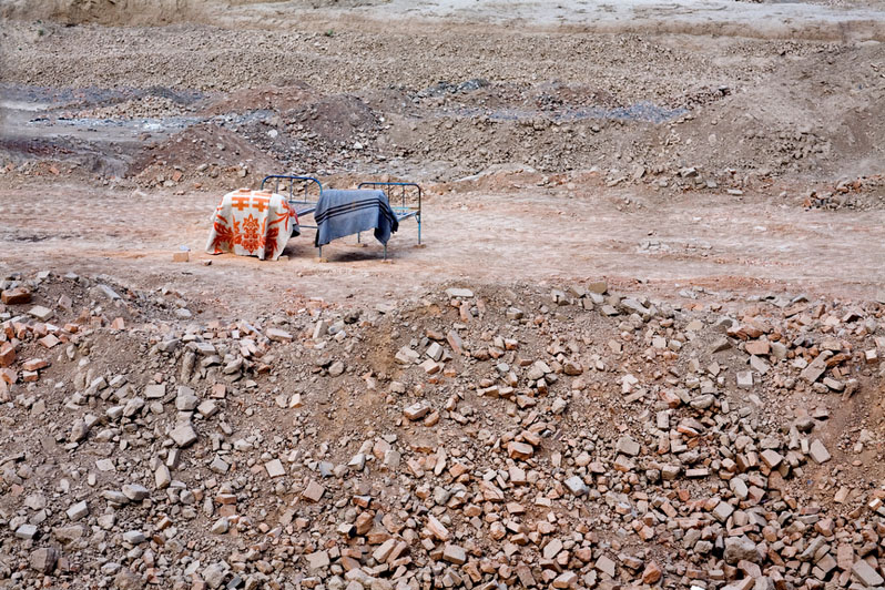 Companions, 2011